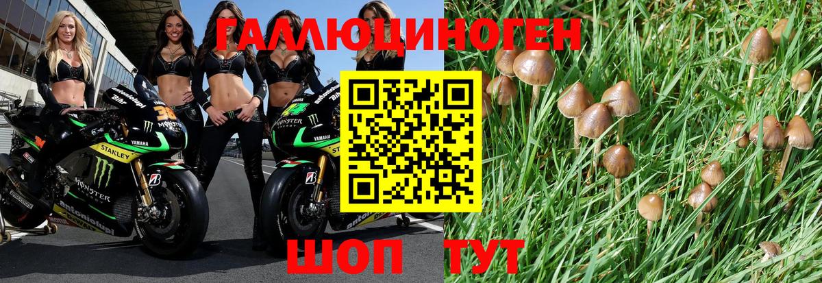 Псилоцибиновые грибы Psilocybe  Вход с VPN  Галлюциногенные грибы ЛСД  Петрозаводск 