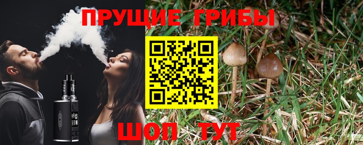 ГАШ  COCAIN  Героин  Меф кристаллы  LSD-25  Вход с VPN  Петрозаводск  Гашиш 