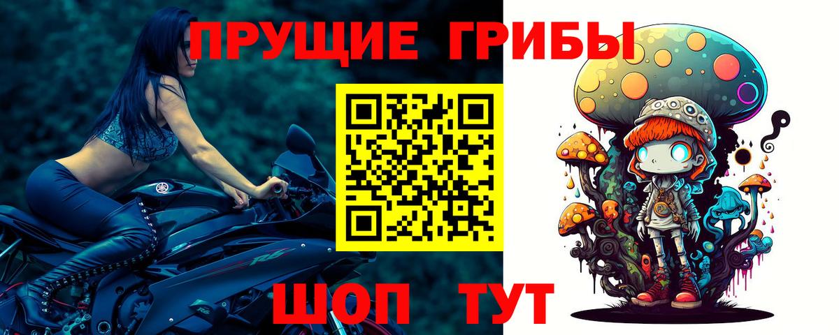 Галлюциногенные грибы ЛСД Петрозаводск